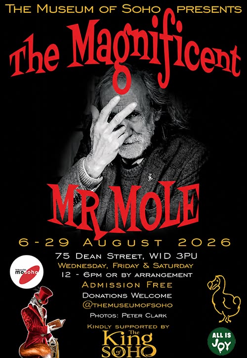 Poster for The Magnificent Mr Mole
